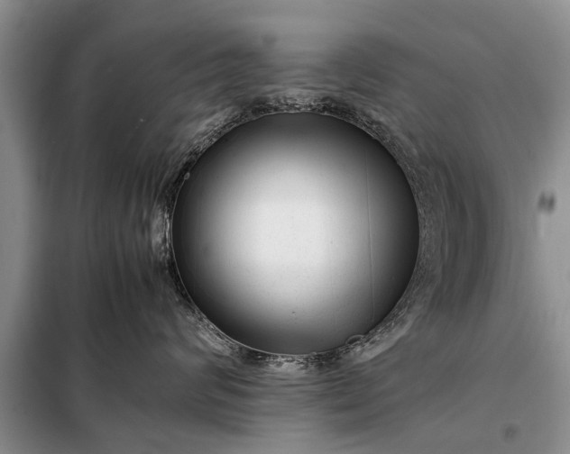 X0000097960624200804071032