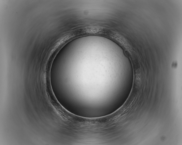 X0000097960626200804071031