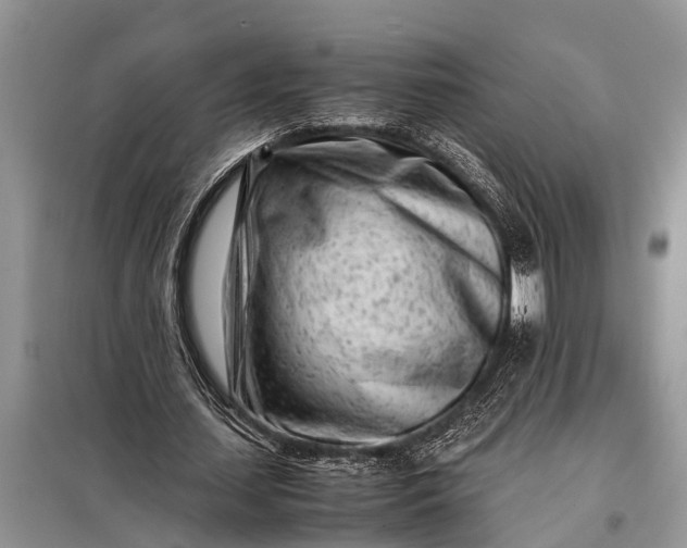 X0000097960627200804071031