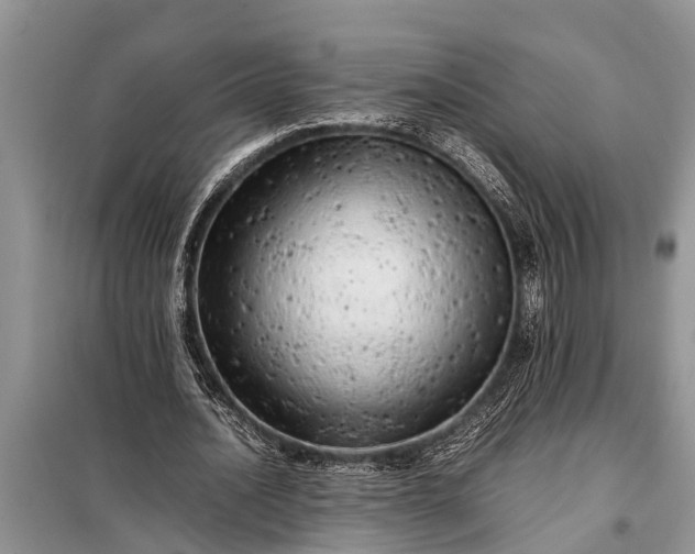 X0000097960628200804071031