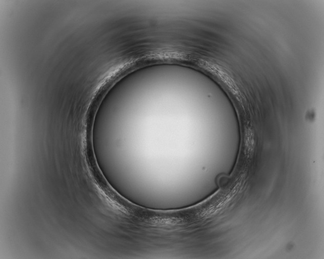 X0000097960629200804071031