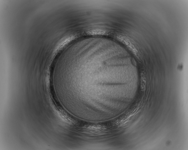 X0000097960631200804071031