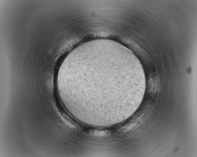 X0000097960638200804071032