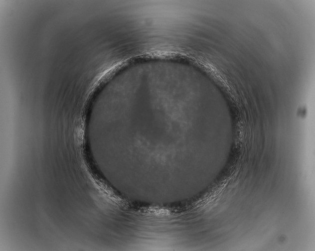 X0000097960640200804071032