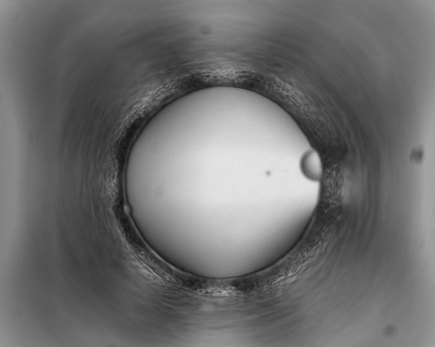 X0000097960642200804071032