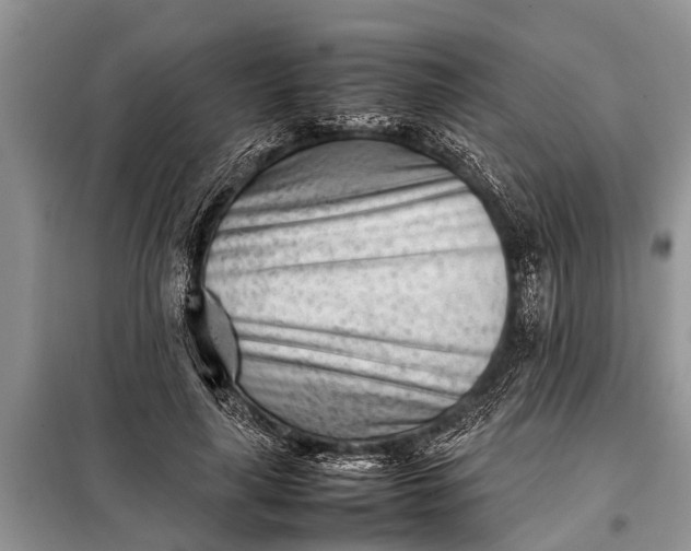 X0000097960643200804071032
