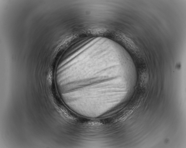 X0000097960644200804071032
