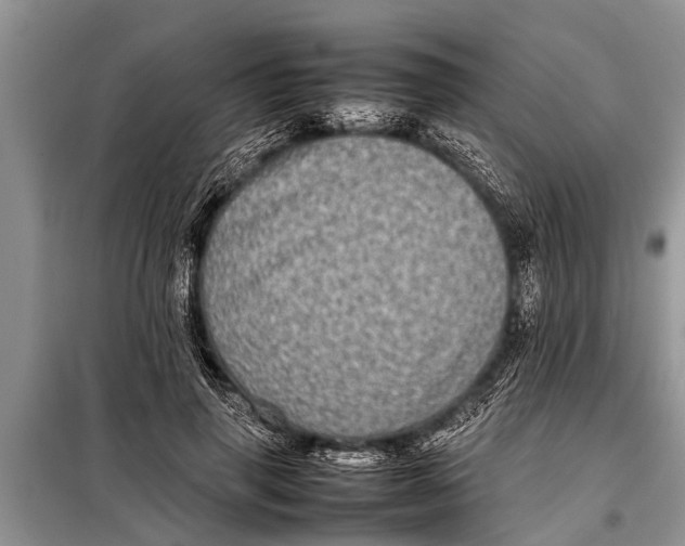 X0000097960645200804071032