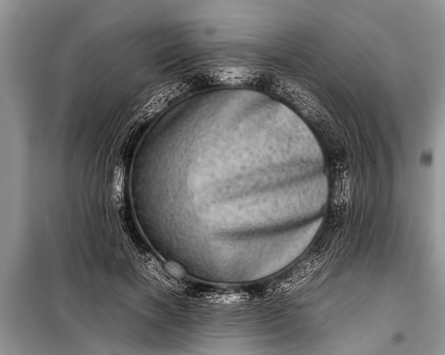 X0000097960646200804071032