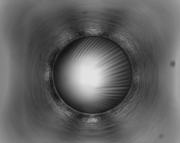 X0000097960647200804071032