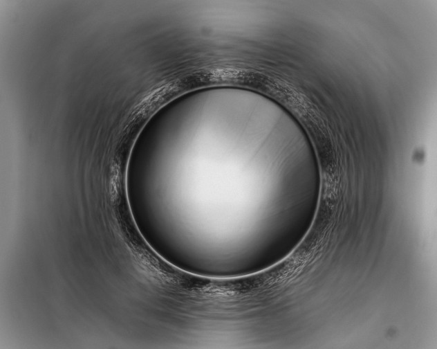 X0000097960648200804071032