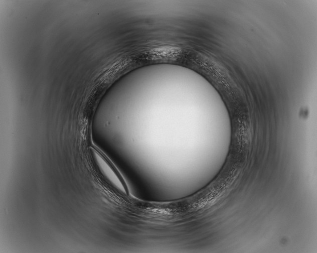 X0000097960649200804071032