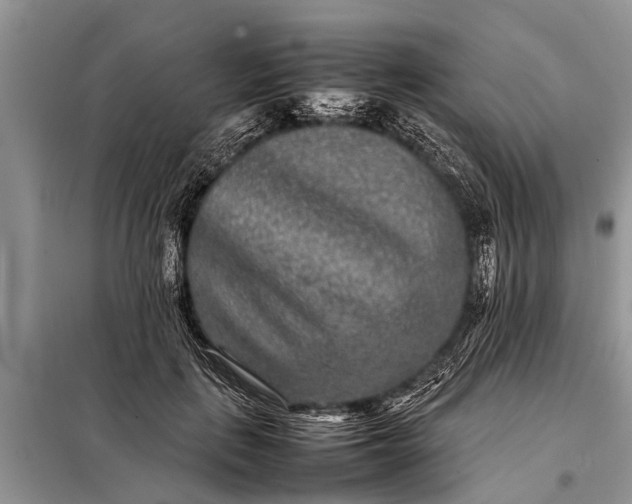 X0000097960651200804071032