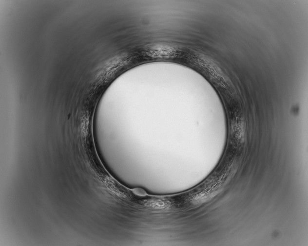 X0000097960652200804071032