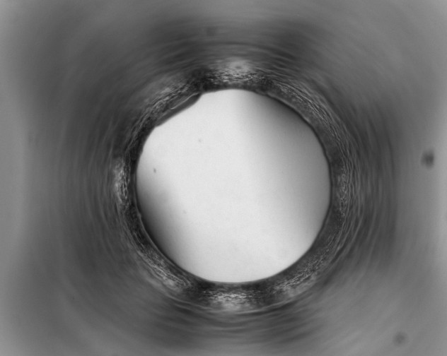 X0000097960653200804071032