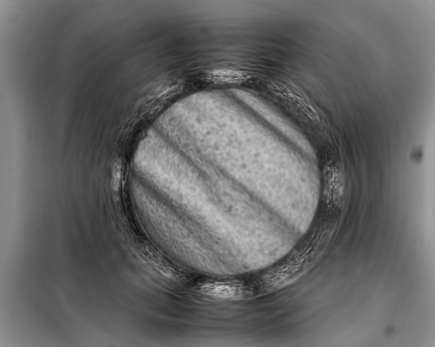 X0000097960655200804071032