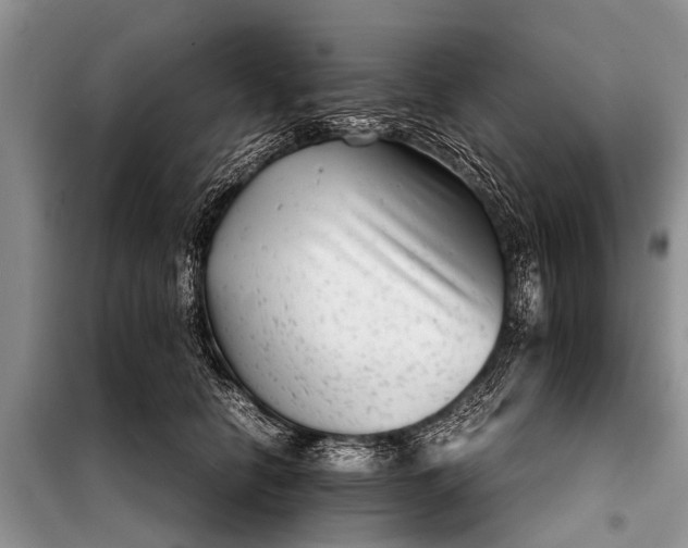 X0000097960658200804071032