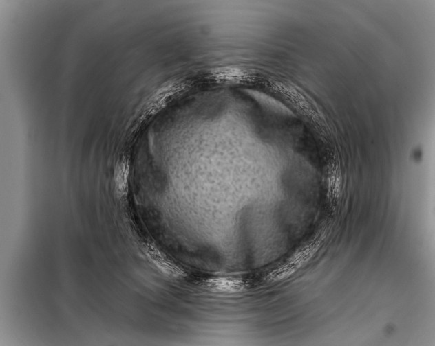 X0000097960660200804071032