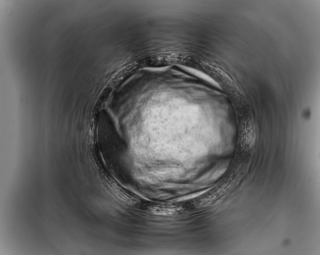 X0000097960661200804071032