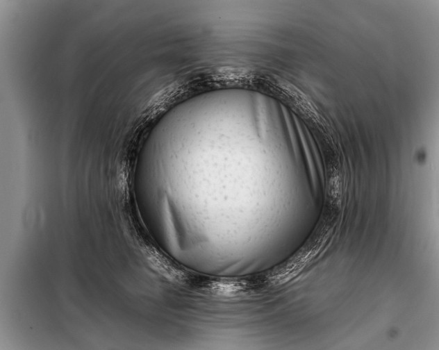 X0000097960662200804071032