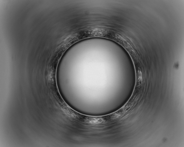 X0000097960663200804071032