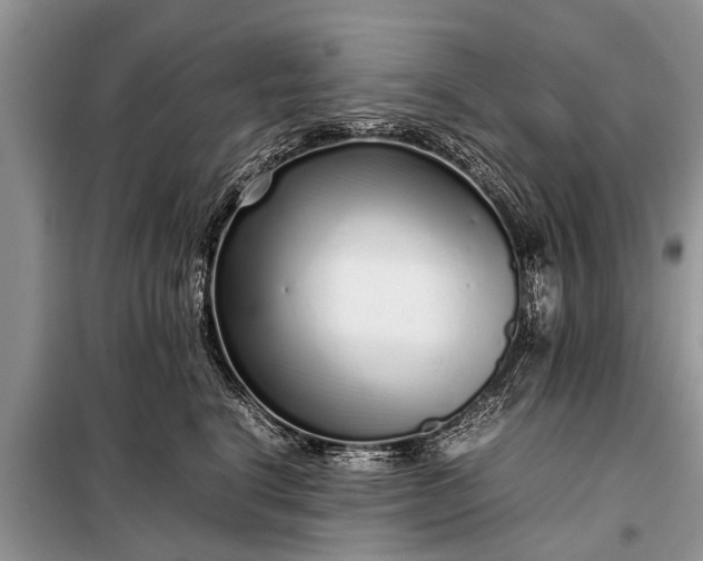 X0000097960664200804071032