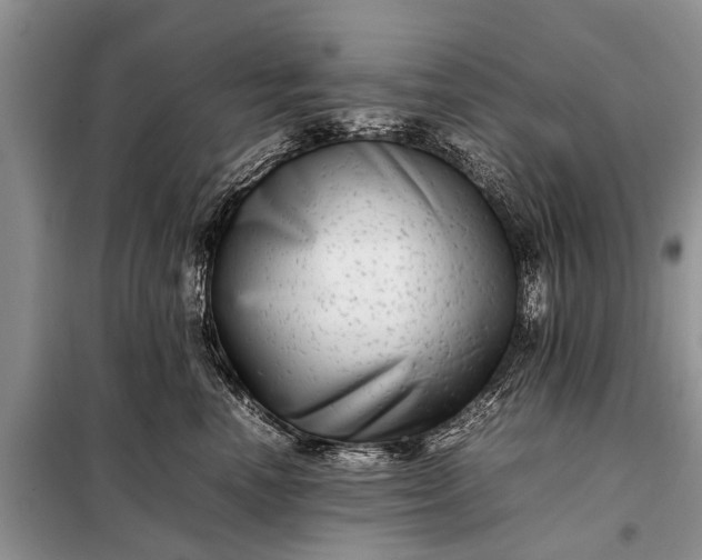 X0000097960666200804071032