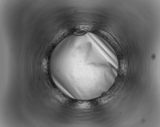 X0000097960667200804071032