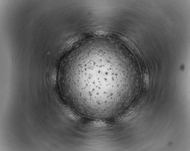 X0000097960668200804071032