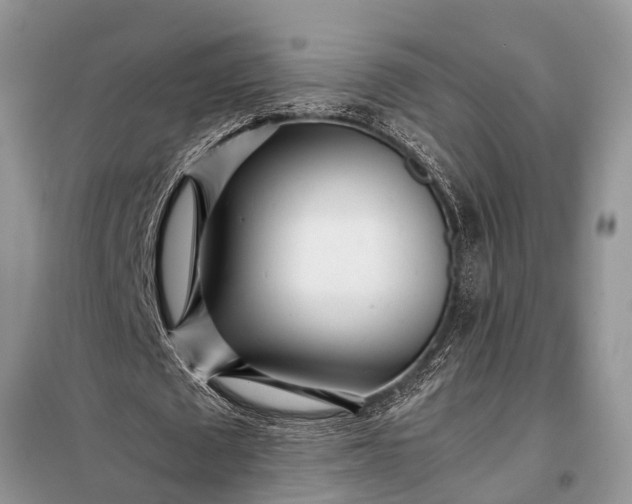 X0000097960673200804071031