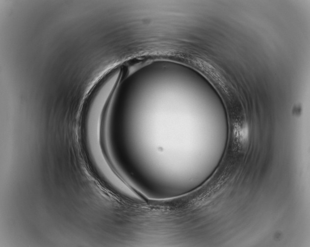 X0000097960676200804071031