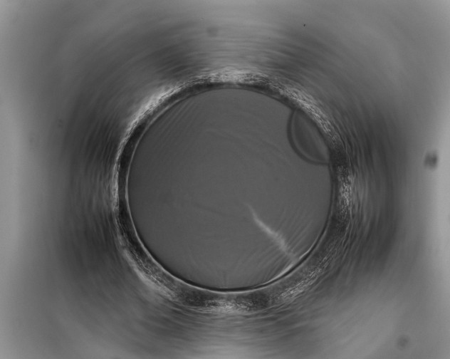 X0000097960678200804071031