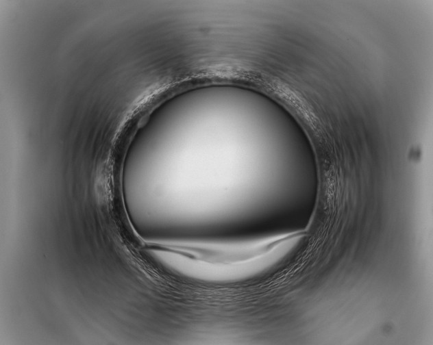 X0000097960680200804071031