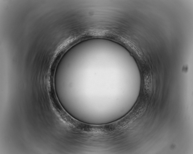 X0000097960682200804071031