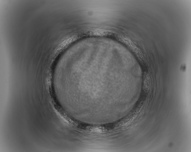 X0000097960683200804071031