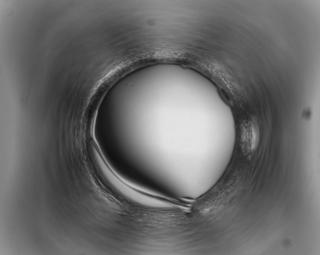 X0000097960684200804071031