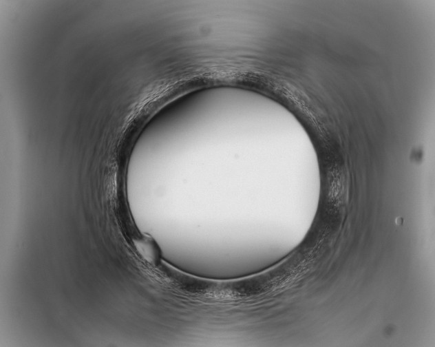 X0000097960685200804071031