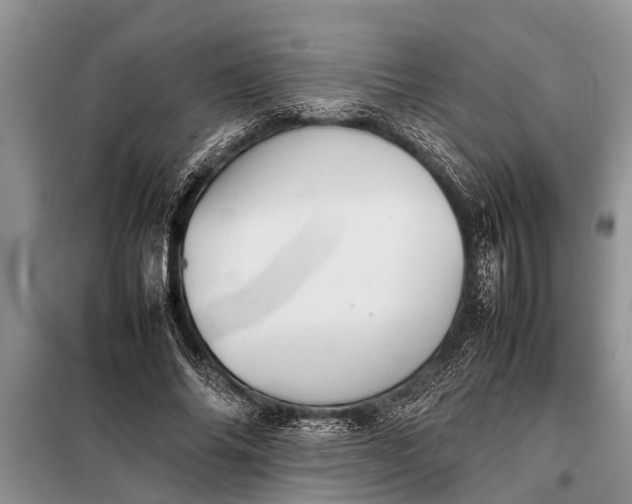 X0000097960686200804071031