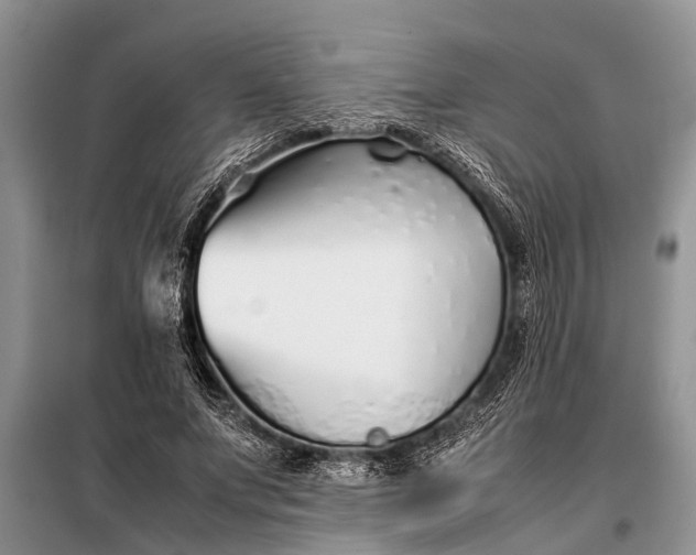 X0000097960687200804071031