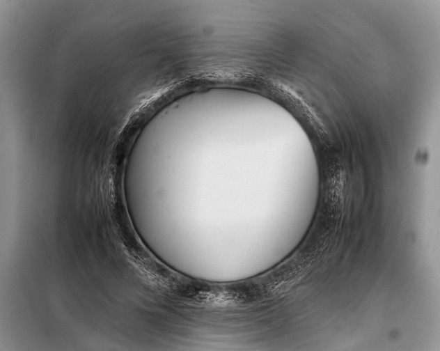 X0000097960688200804071031