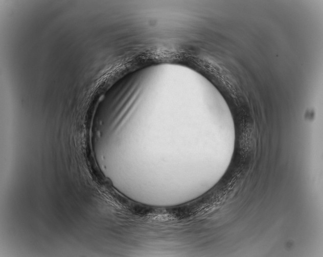 X0000097960689200804071031
