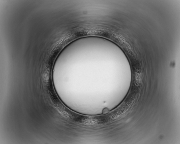 X0000097960691200804071031