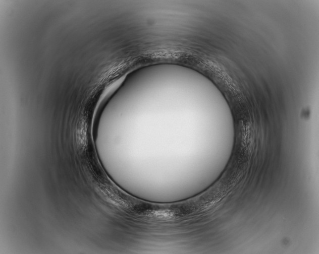 X0000097960692200804071031
