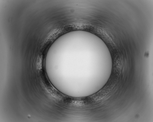 X0000097960694200804071031