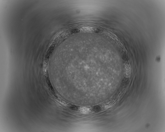 X0000097960701200804071031