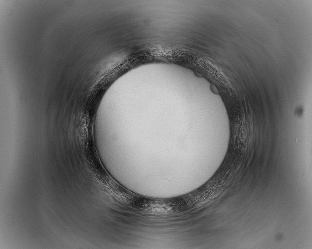 X0000097960702200804071031