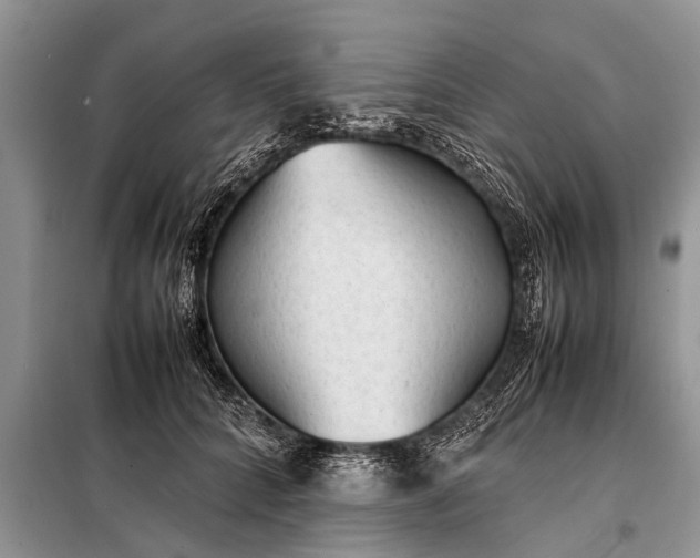 X0000097960704200804071031