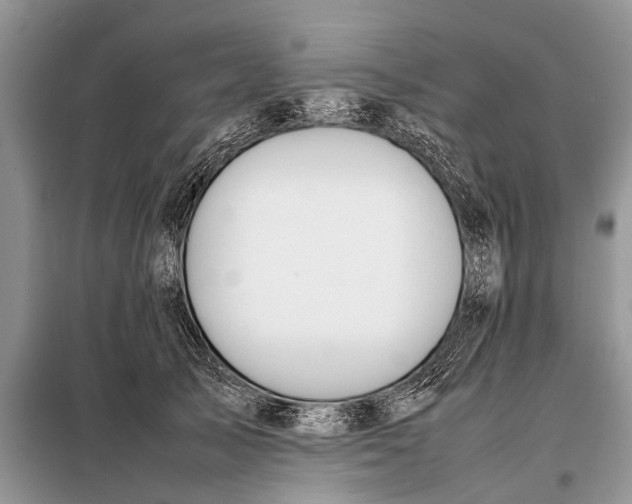 X0000097960705200804071031