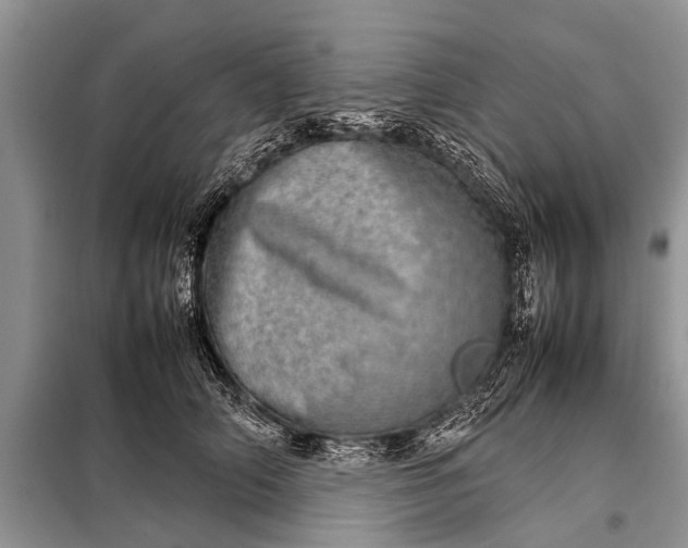 X0000097960706200804071031
