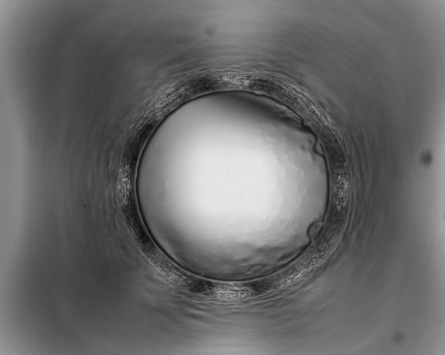 X0000097960707200804071031